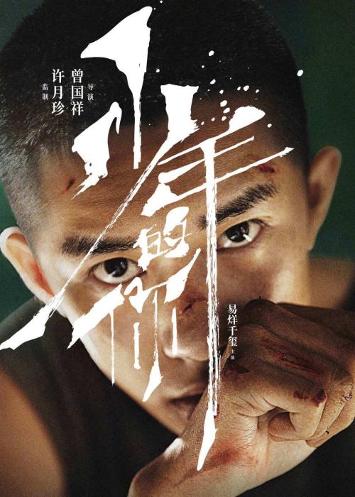 南布列塔尼大学国际商务文凭证书